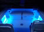 Flexible LED Strips Blue LED's under the gunnels on a 23 Wellcraft Walkaround