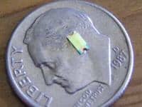 1206 Surface Mount LEDs