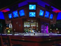 High Intensity LED Flood