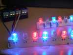 Flathead LED Strips
