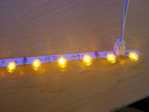 Flathead LED Strips