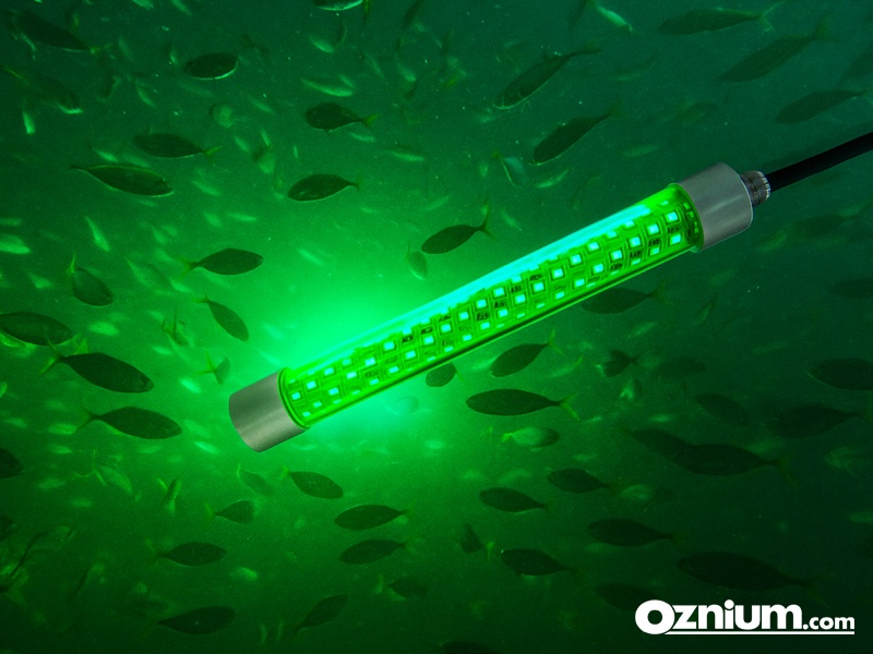 Underwater Fishing Light